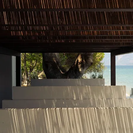 Beau Rivage لونغوس